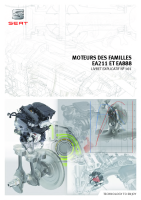 Seat Self Service Program - SSP 161 Moteurs de la famille EA211 et EA888 